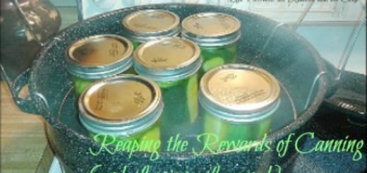 boiling water canning, canning mistakes, how to can, learn to can