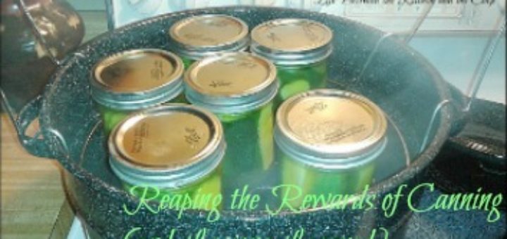 boiling water canning, canning mistakes, how to can, learn to can