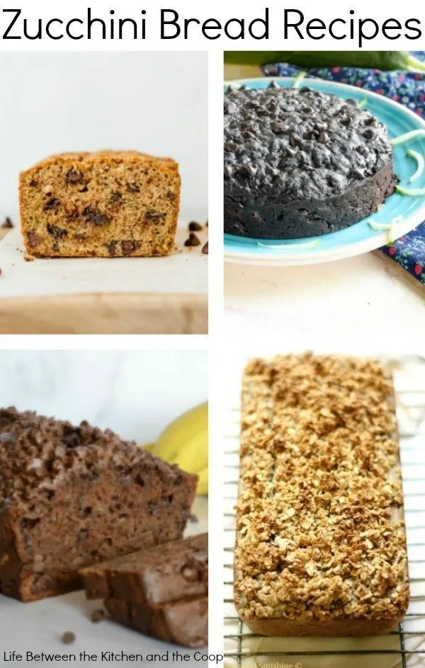 zucchini bread recipes