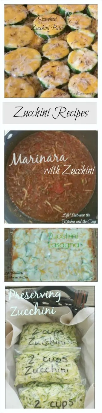 zucchini recipes 